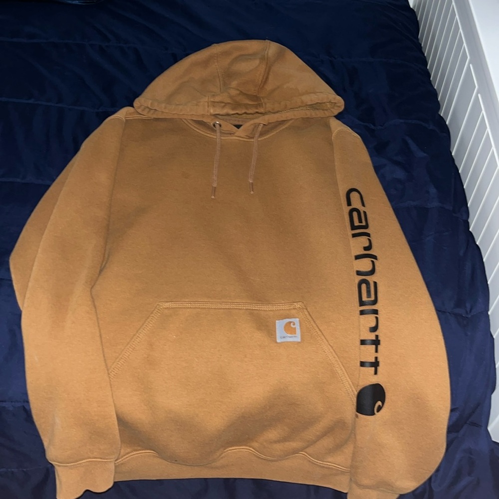 carhartt men’s hoodie